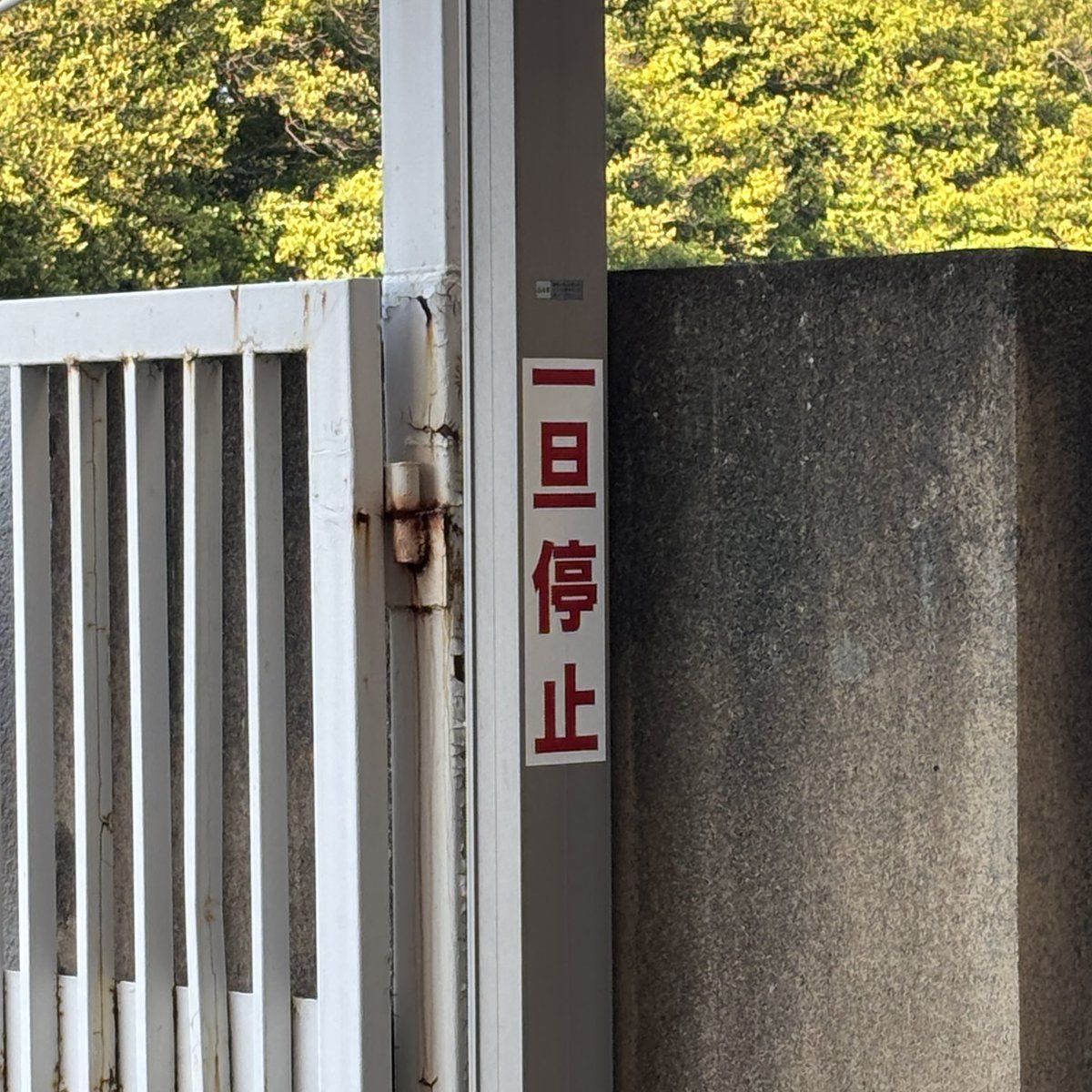 抹茶ん tweet media