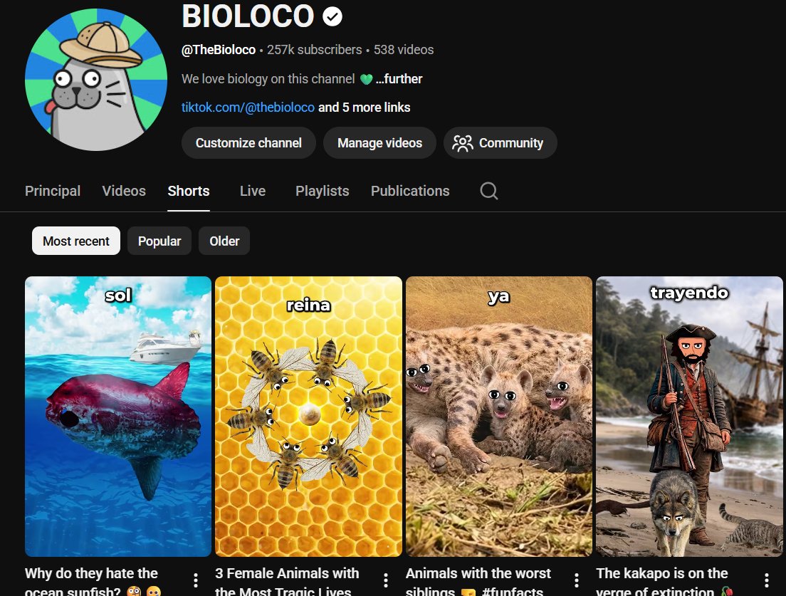 Bioloco tweet media