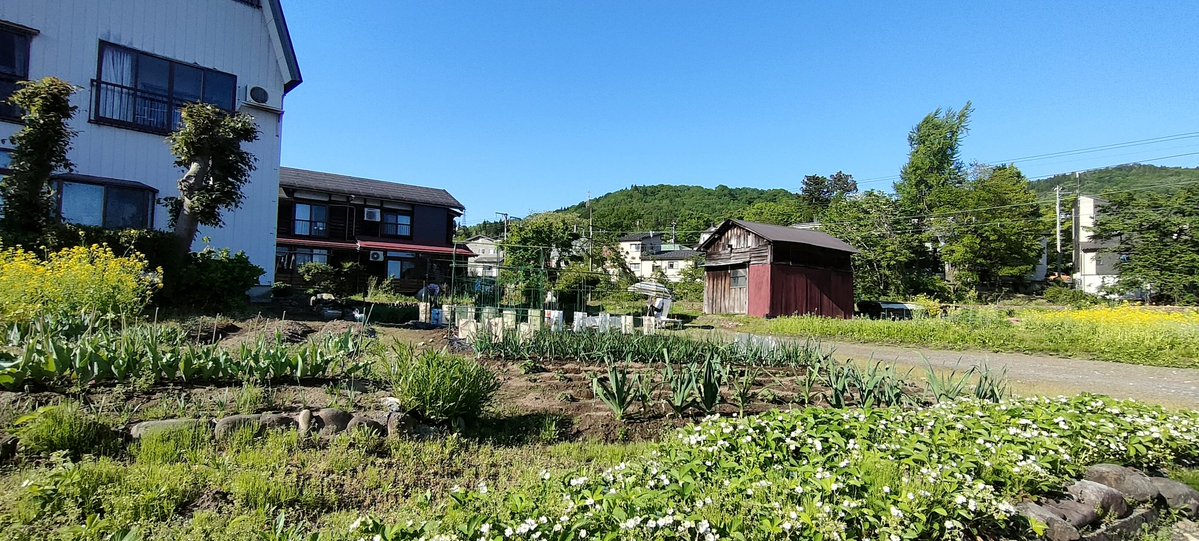 いい天気にゃ。