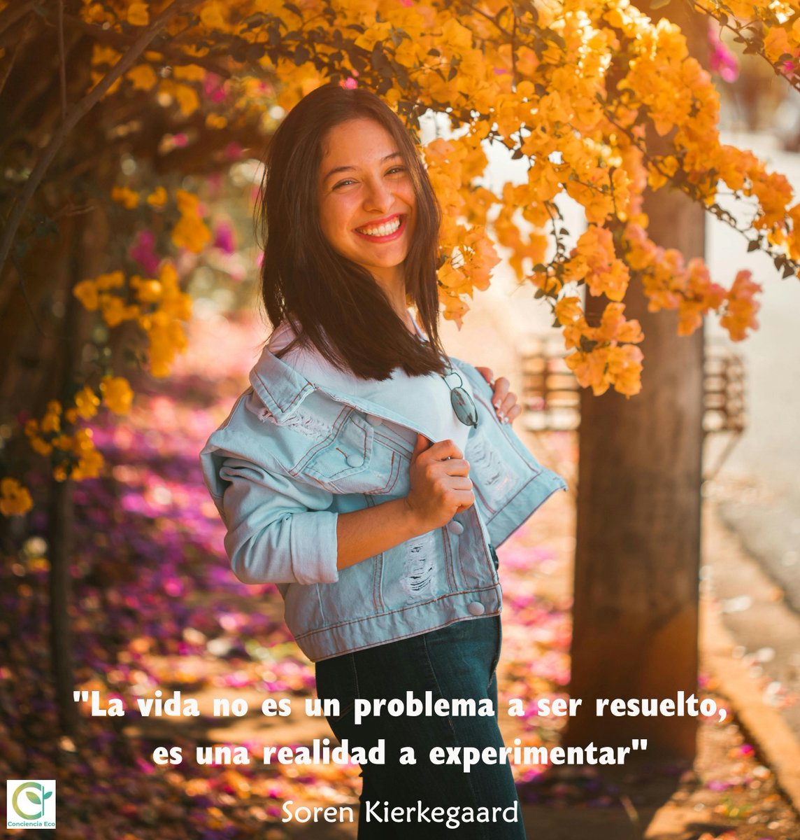 concienciaeco's tweet photo. Una #reflexión para cada día:
"La vida no es un problema a ser resuelto, es una realidad a experimentar"
#SorenKierkegaard
#medioambiente #vida #problema #experiencia #mente #pensamiento #sabiduría #psicología #filosofía #ser #vivir #resolver #realidad #actitud #experimentar https://t.co/n4ID0Nlzy7
