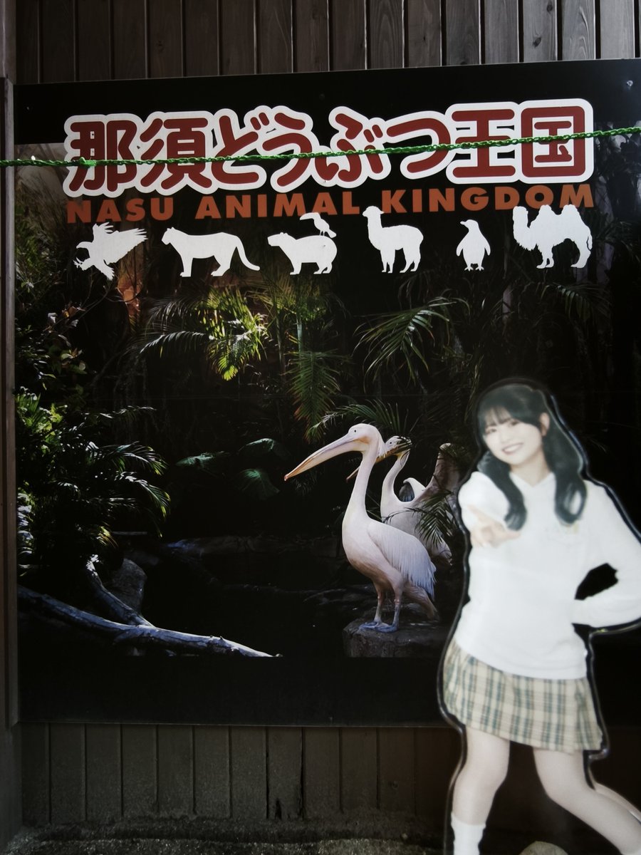ふぉんふぉん tweet media