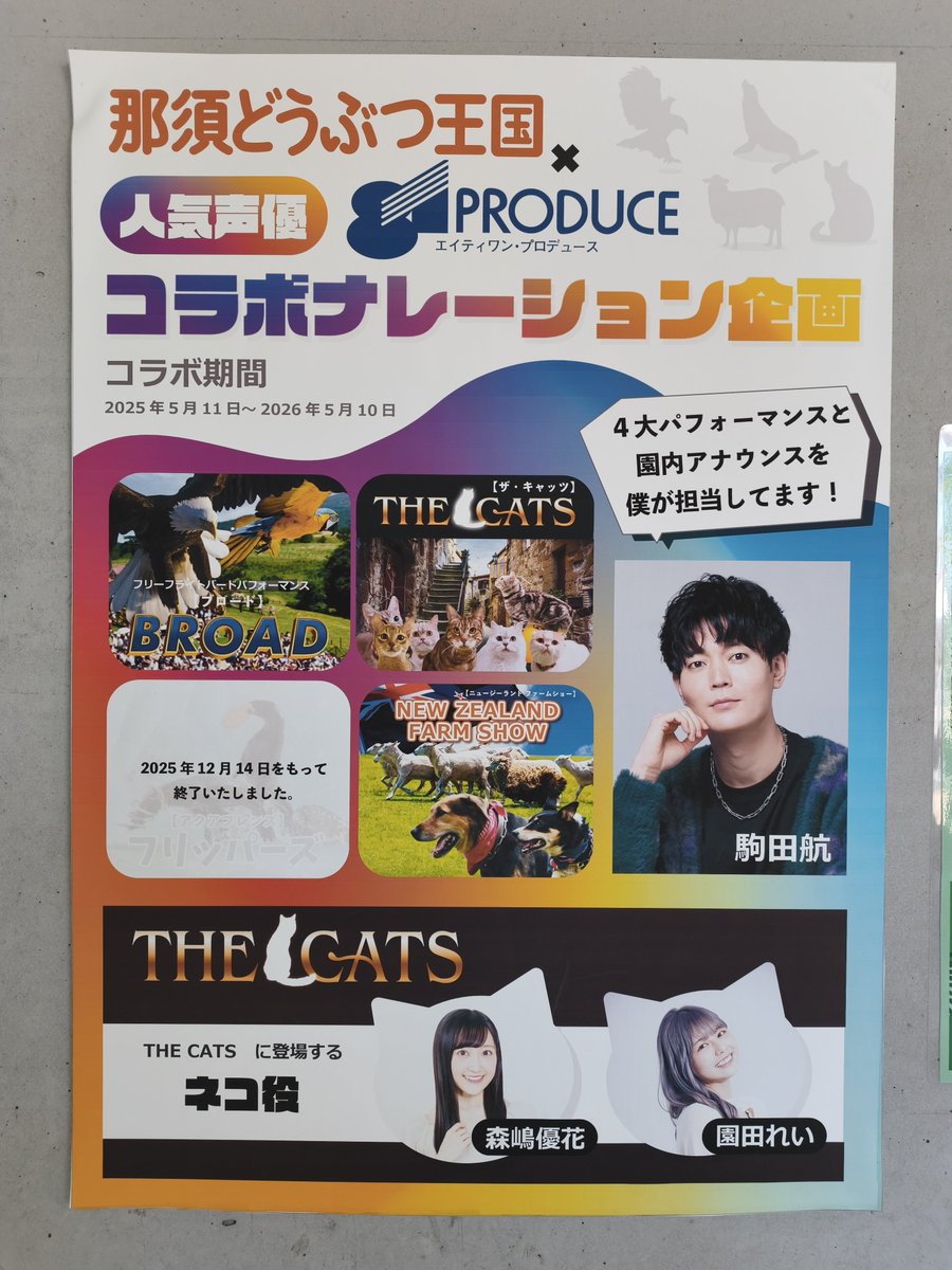 ふぉんふぉん tweet media