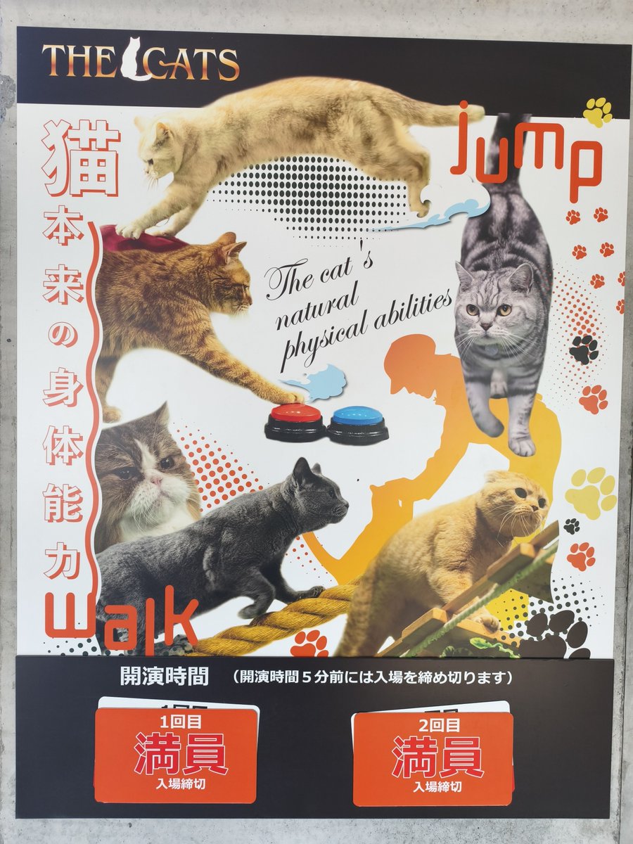 ふぉんふぉん tweet media