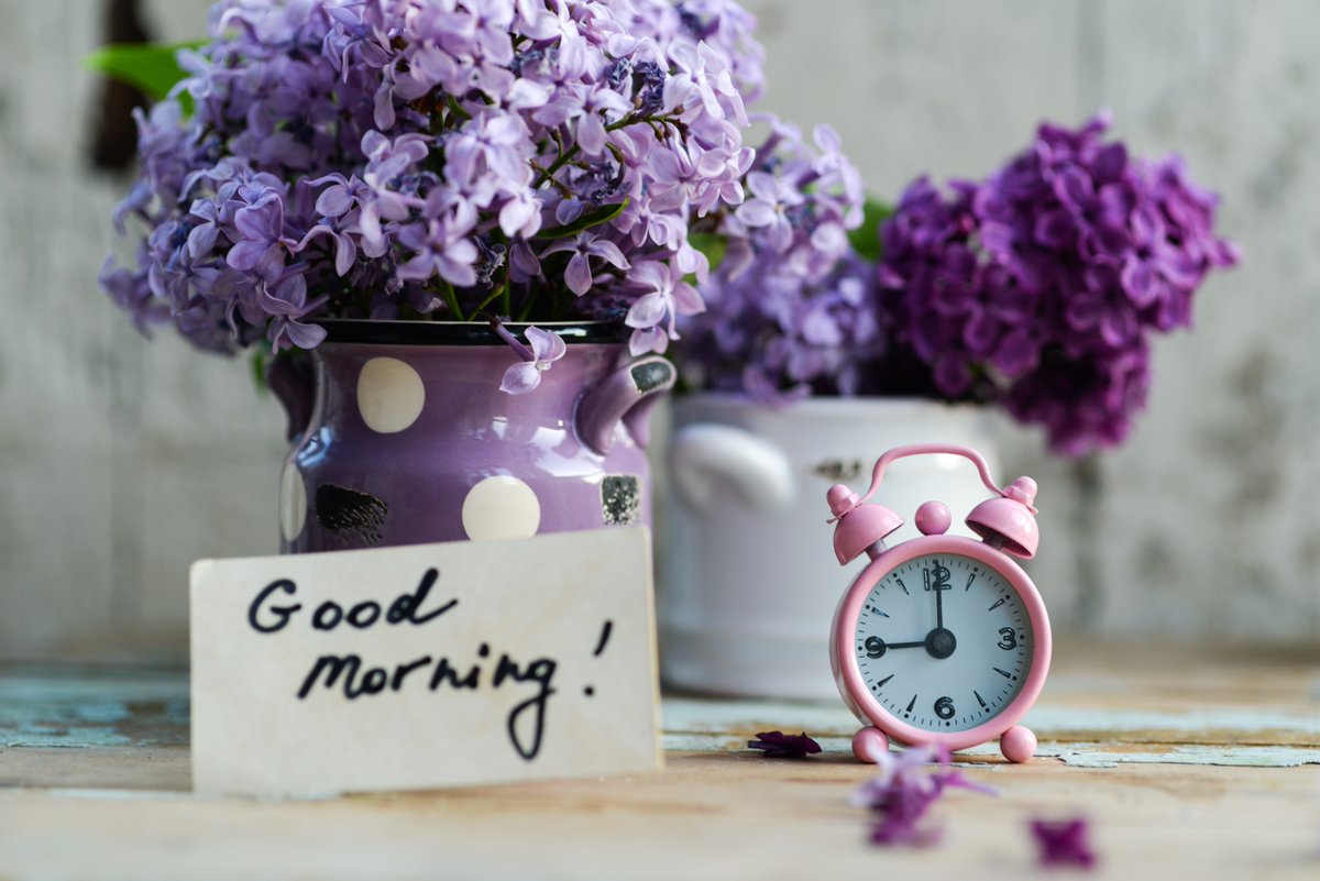 JCPinSomerset's tweet image. Hello #Somerset!

Not sure where to start with your job search?

Here is a search for #Retail jobs to get you started: ow.ly/x6FV50XVAx0

 Good luck with your #Jobsearch today, Dave!