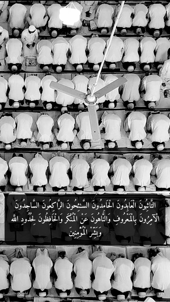 تغريدة tweet media