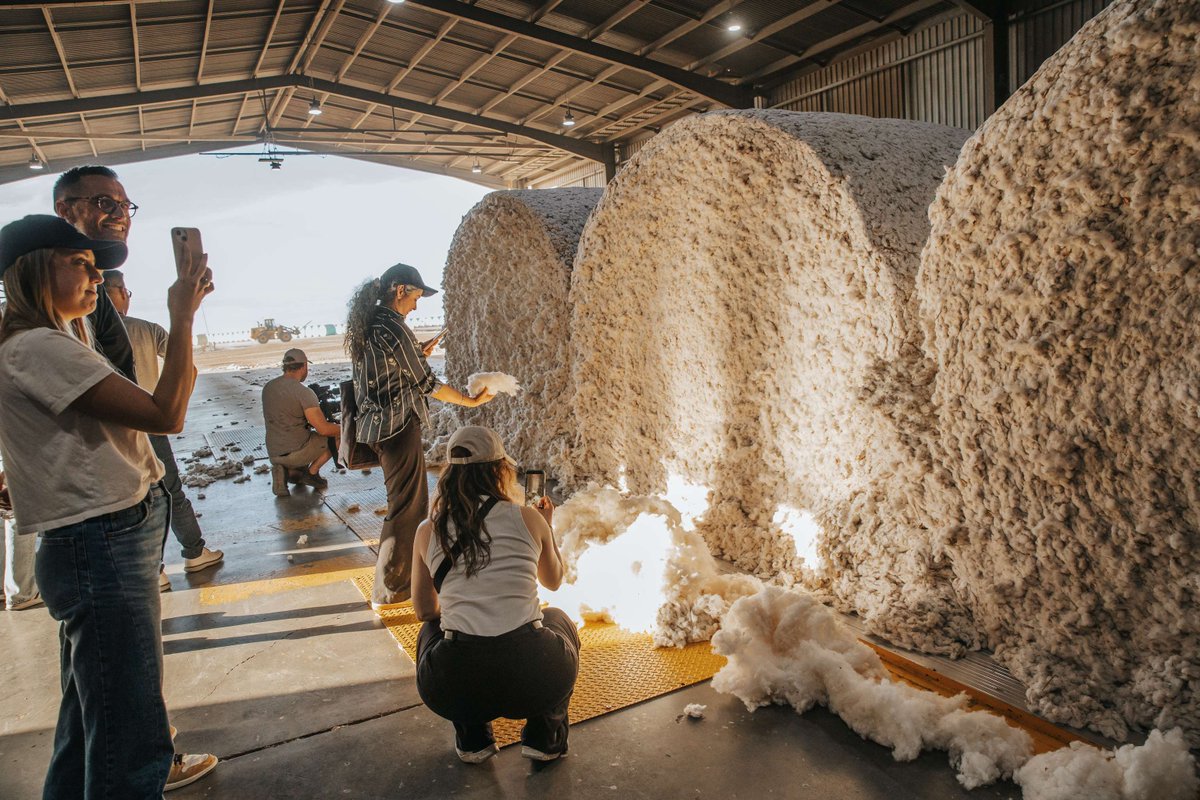 CottonAustralia's tweet photo. Last week, 50 delegates from global fashion brands headed to the Namoi Valley to experience Australian cotton where it all begins. Farms, a gin, research, innovation and the people behind the fibre — Camp Cotton 2026 was unforgettable. 🌱👌 #AustralianCotton #PaddockToProduct https://t.co/Cwy9sKzqPy