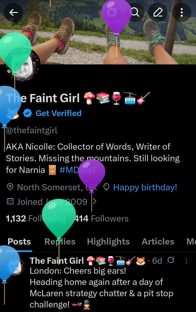 The Faint Girl 🍄📚🍷🚠🎸🦊 tweet media