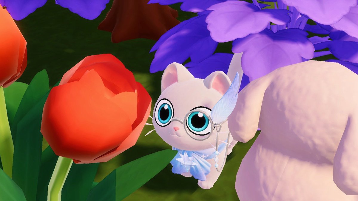 みっぴ🌼 tweet media