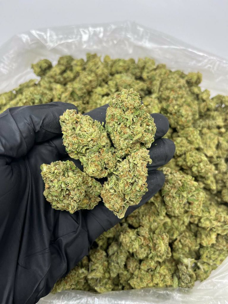 Same day weed delivery in Haiku, Kaupakulua, Paia, Spreckelsville, Waikiki, Wailuku, Waikapu, Olowalu, Launiupoko, Hilo, Pahala, Ocean View, Holualoa, Waikoloa Beach Resort, Hawi, Honokaa, Laupahoehoe, Volcano, Pahoa, Kalapana, Waimea, Kailua Kona, Kahaluu Keauhou, Naalehu