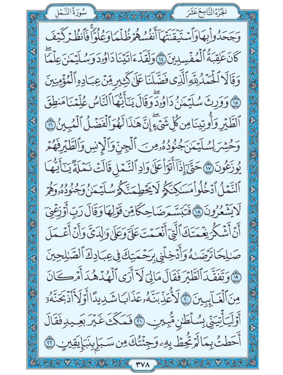 صفحه من القران يومياً tweet media