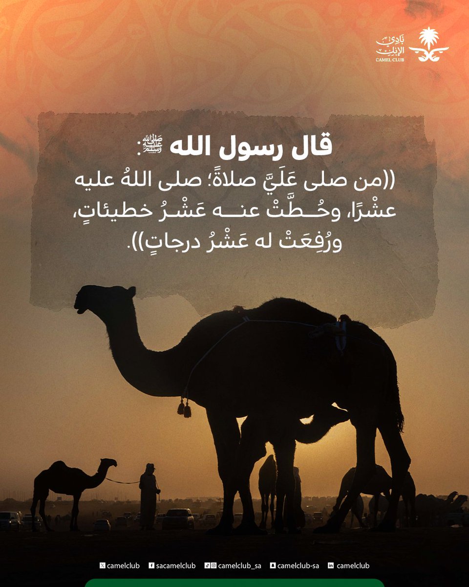 نادي الإبل tweet media