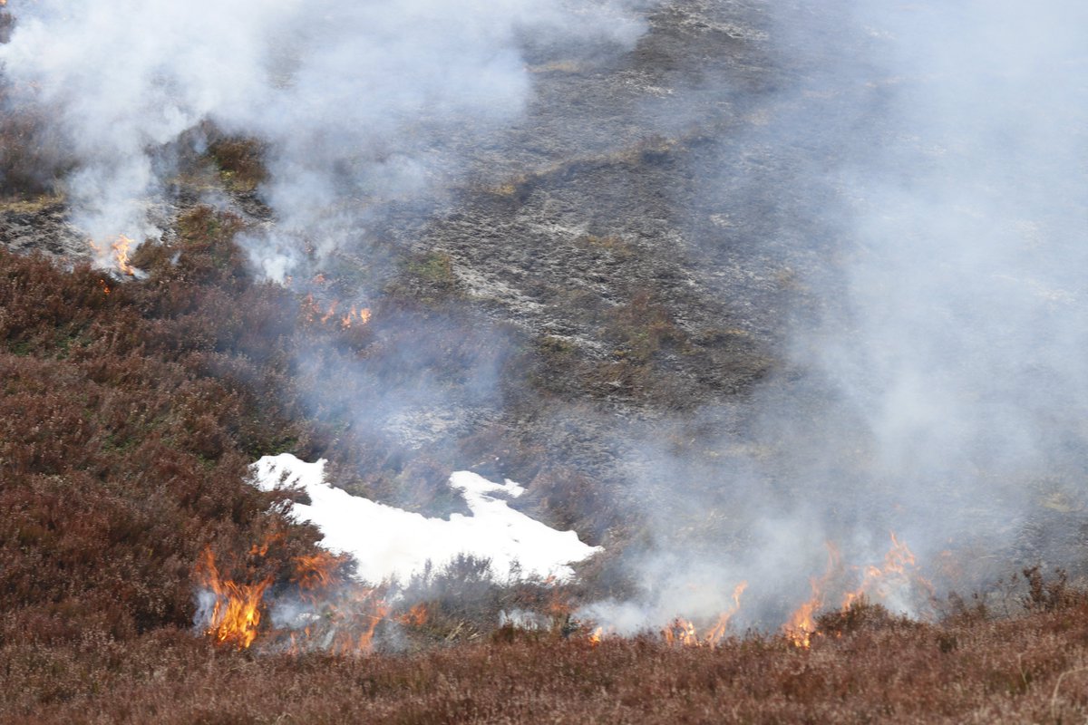 bscgscotland's tweet image. Yes  &amp;amp; we are still getting controversial #muirburn in #April despite earlier breeding seasons 
The Climate Change Committee has reasonably concluded that wildfires caused by extreme weather are now "six times more likely" due to #climatechange.
(photos April 2026)