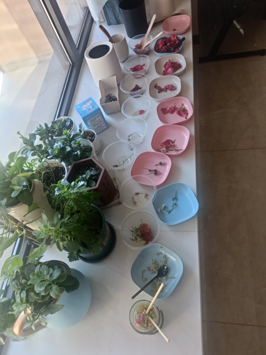 Sofia tweet media
