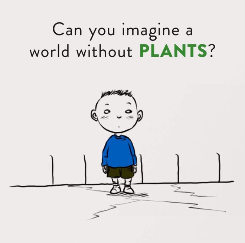 IPPC | International Plant Protection Convention tweet media