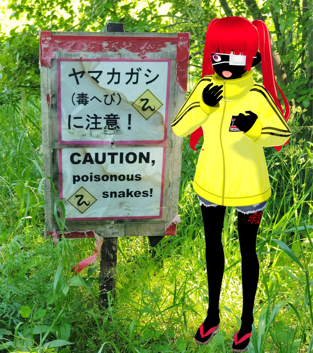 kakusatsuko（核さつ子） tweet media