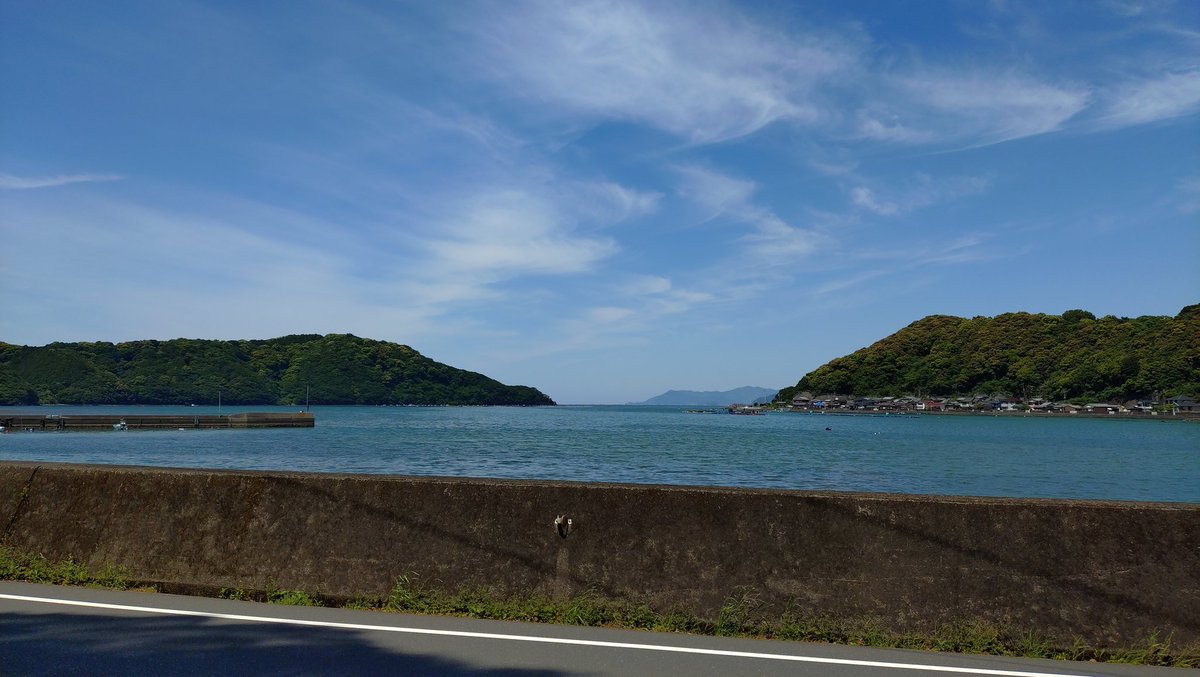 雅樹ん tweet media