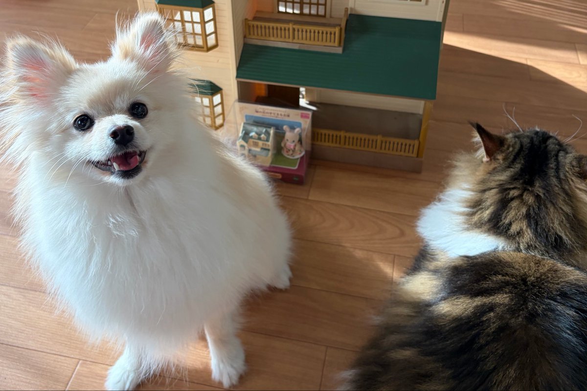mai_128_'s tweet photo. 小さいときに遊んでたお家がミニチュアで出てて即決🏡*.ﾟ✨

#シルバニア #シルバニアファミリー https://t.co/RAMM58ZDI3