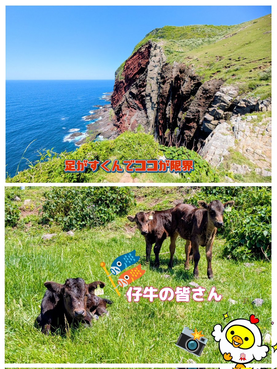 ｡:°ஐ..*肉肉しい😎超🐉戦士🥩2️⃣9⃣🅿️4️⃣🍖ゆめぴよ˙꙳ʚ🐣ɞ꙳˙ஐ:*°｡ tweet media