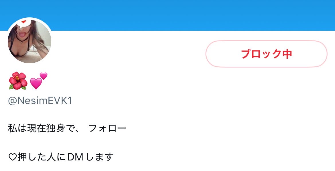紫愛 tweet media