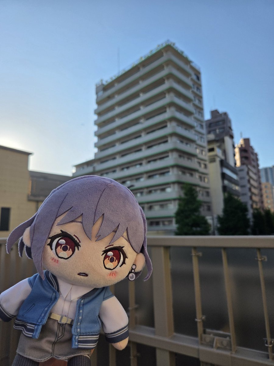 家人 tweet media