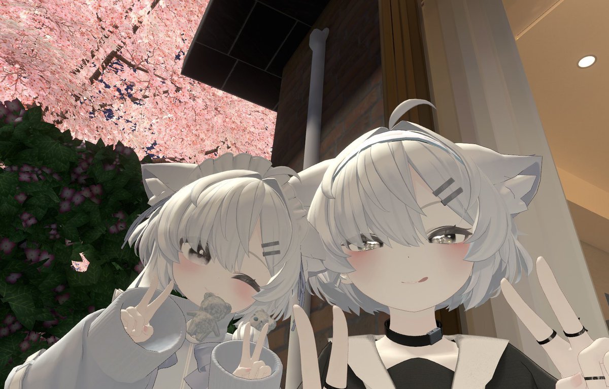 ましゅばー tweet media