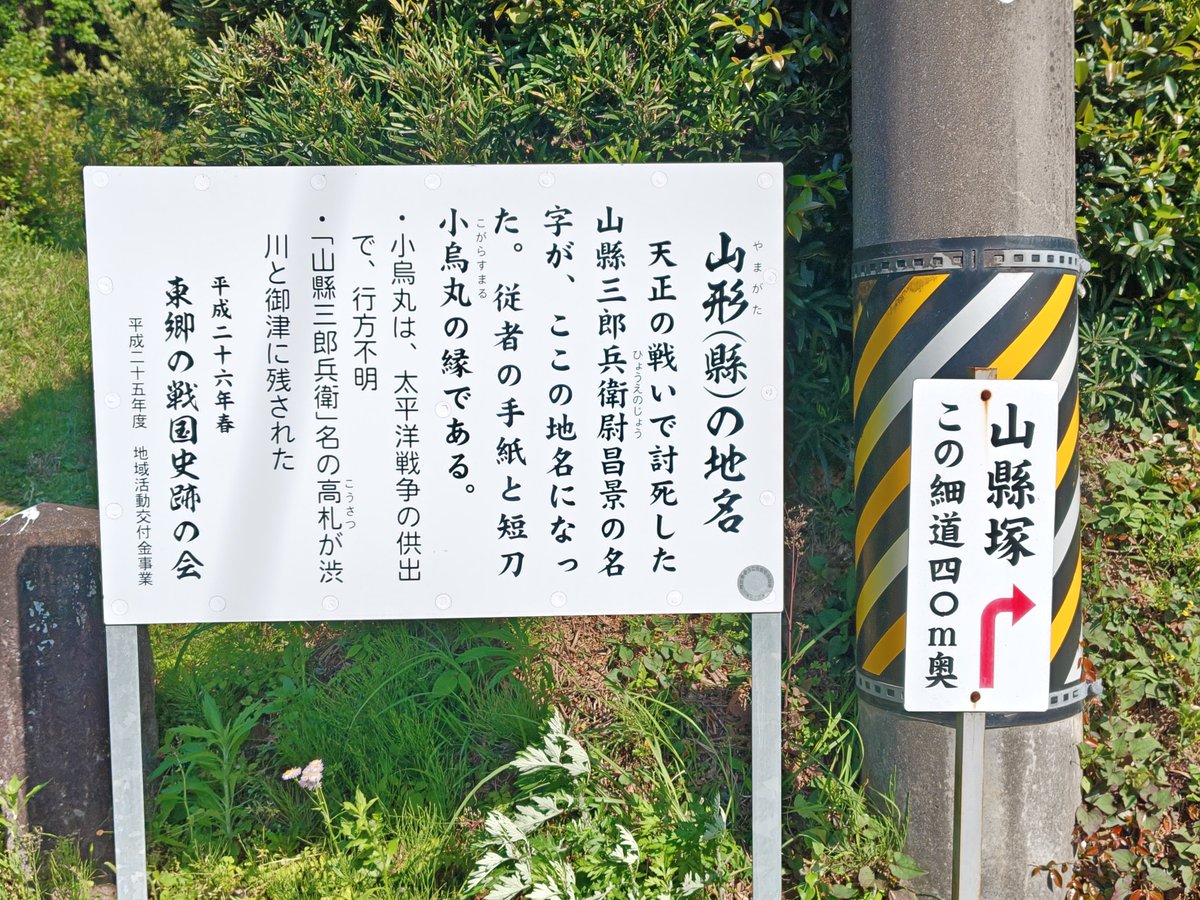 桜皇帝 tweet media