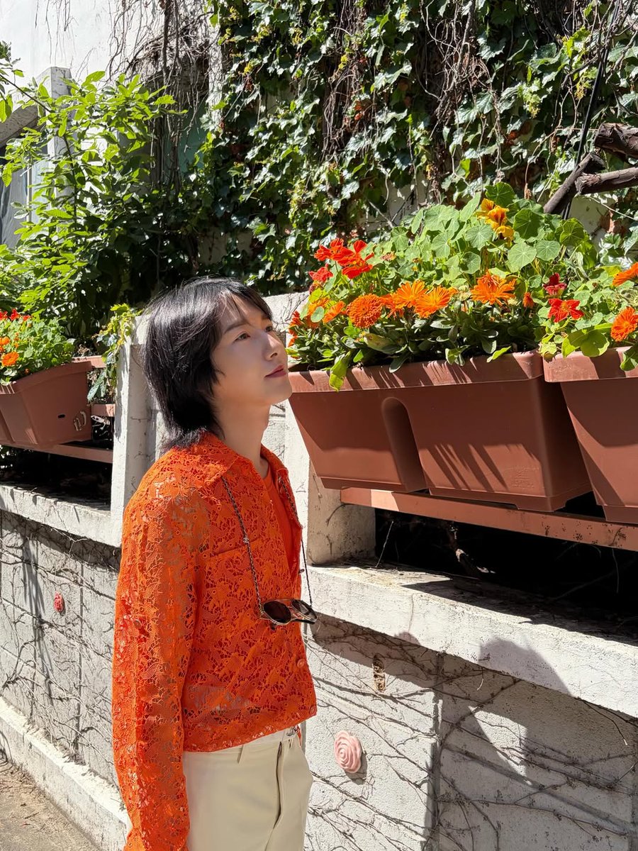 옐런 tweet media