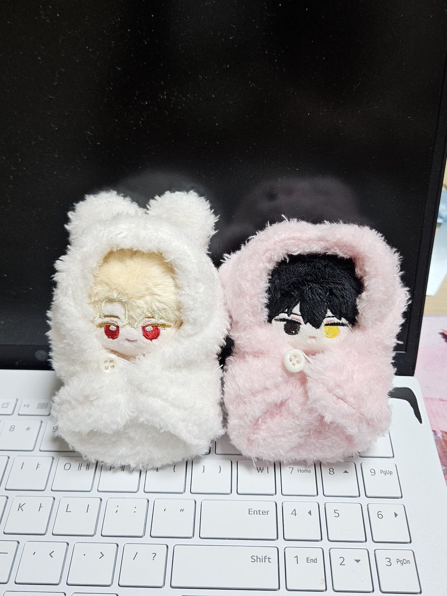 피곤한 거북이 tweet media
