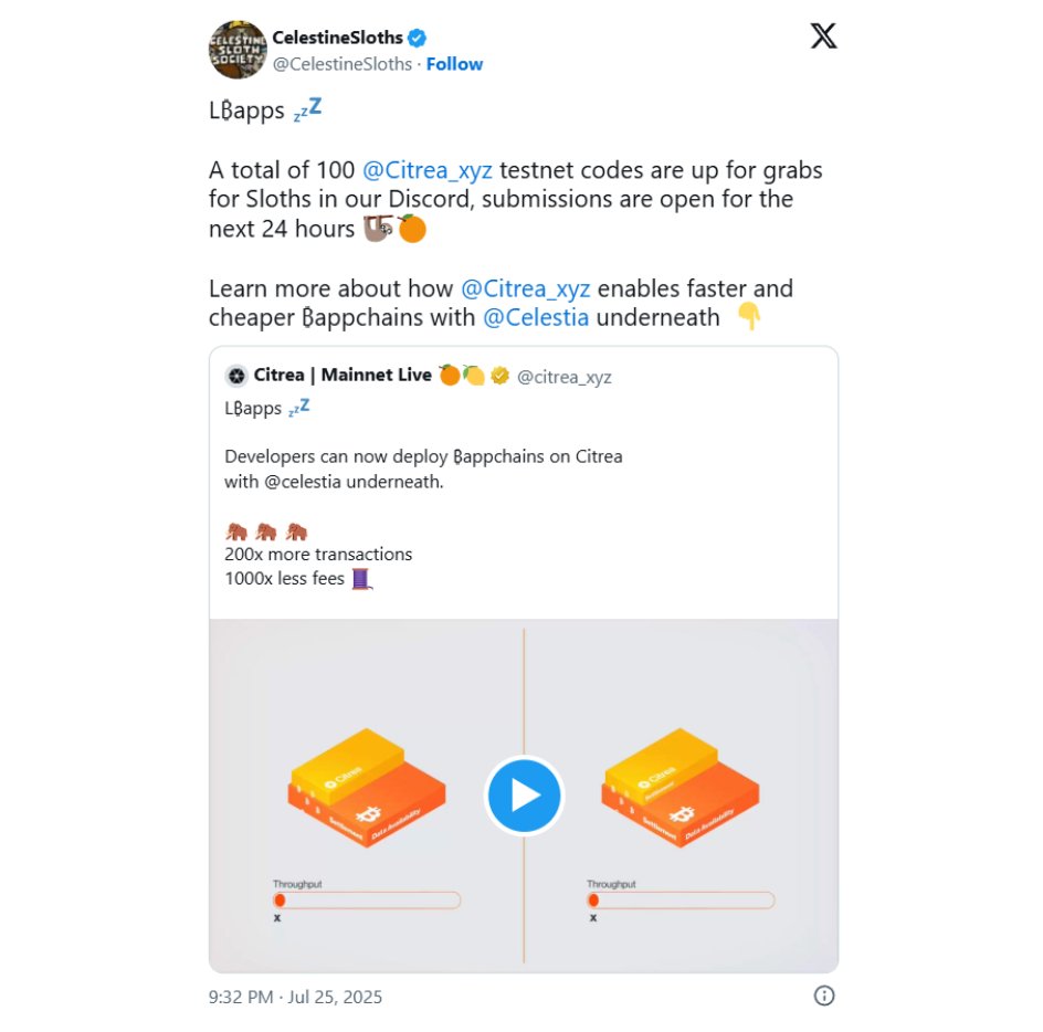 Mora 🦥 tweet media