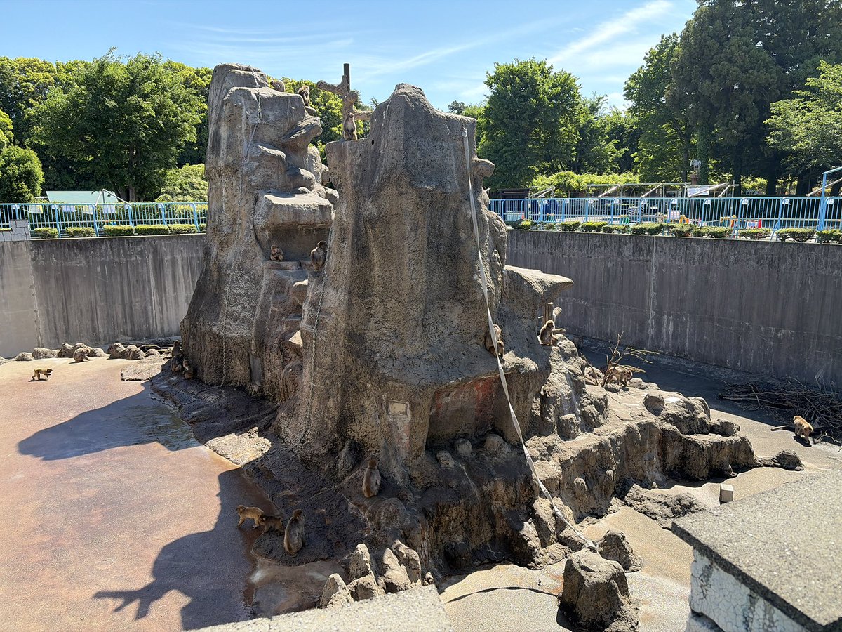 市川市動植物園（公式） tweet media