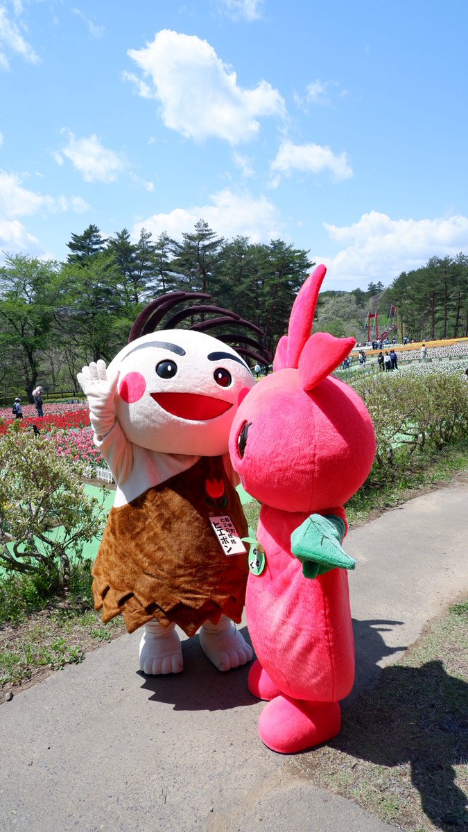 かるまい(軽米)ぐらしのカラッスィー tweet media