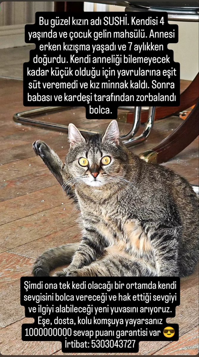 Turşu-Üzüm ve Çiçeeelll tweet media