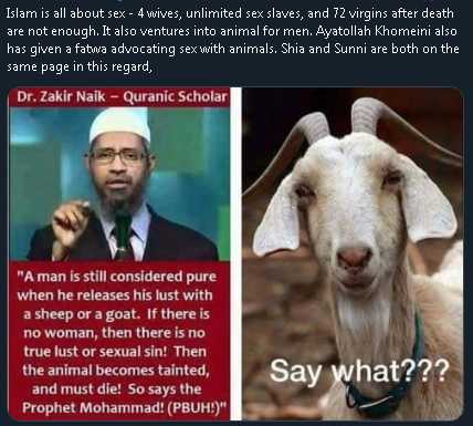 🕊️ DamkarXXXYYZ tweet media