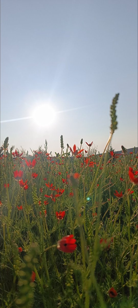 Güne bir renk , bir ses🎶

Bu fotonun şarkısı bu olmalı,
youtu.be/WGbXeI89R3k?si…