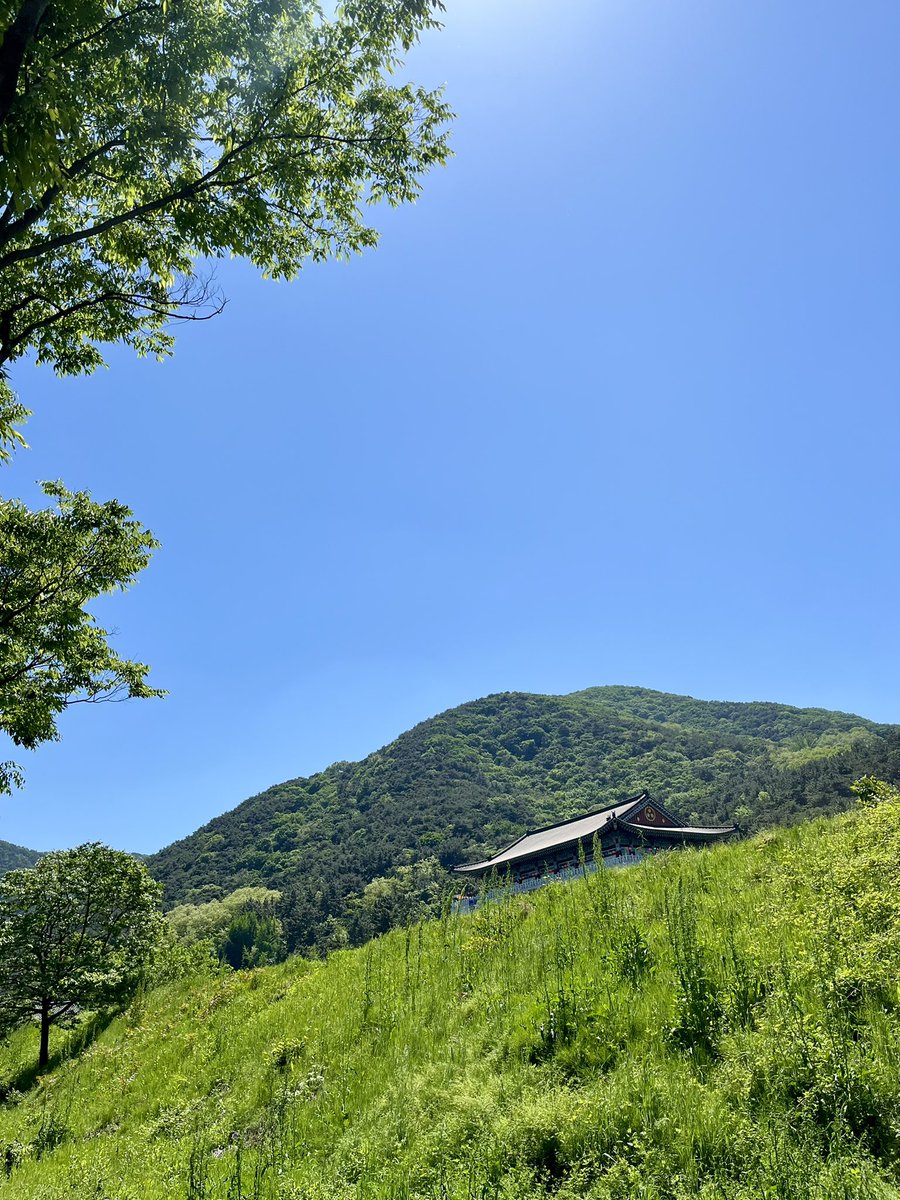 청금석 tweet media