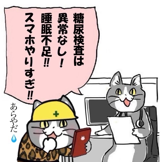 FE9E1VgEZQatCw6's tweet photo. もはや手遅れ(´・ω・`)…
「21年間、スマホを眺めて過ごす人生を
送ることになります」
#Blockin #強制ブロック
#現場猫奥様劇場😸あらやだ💧
https://t.co/XGqF3Tq63G https://t.co/mjxNFLUTUj