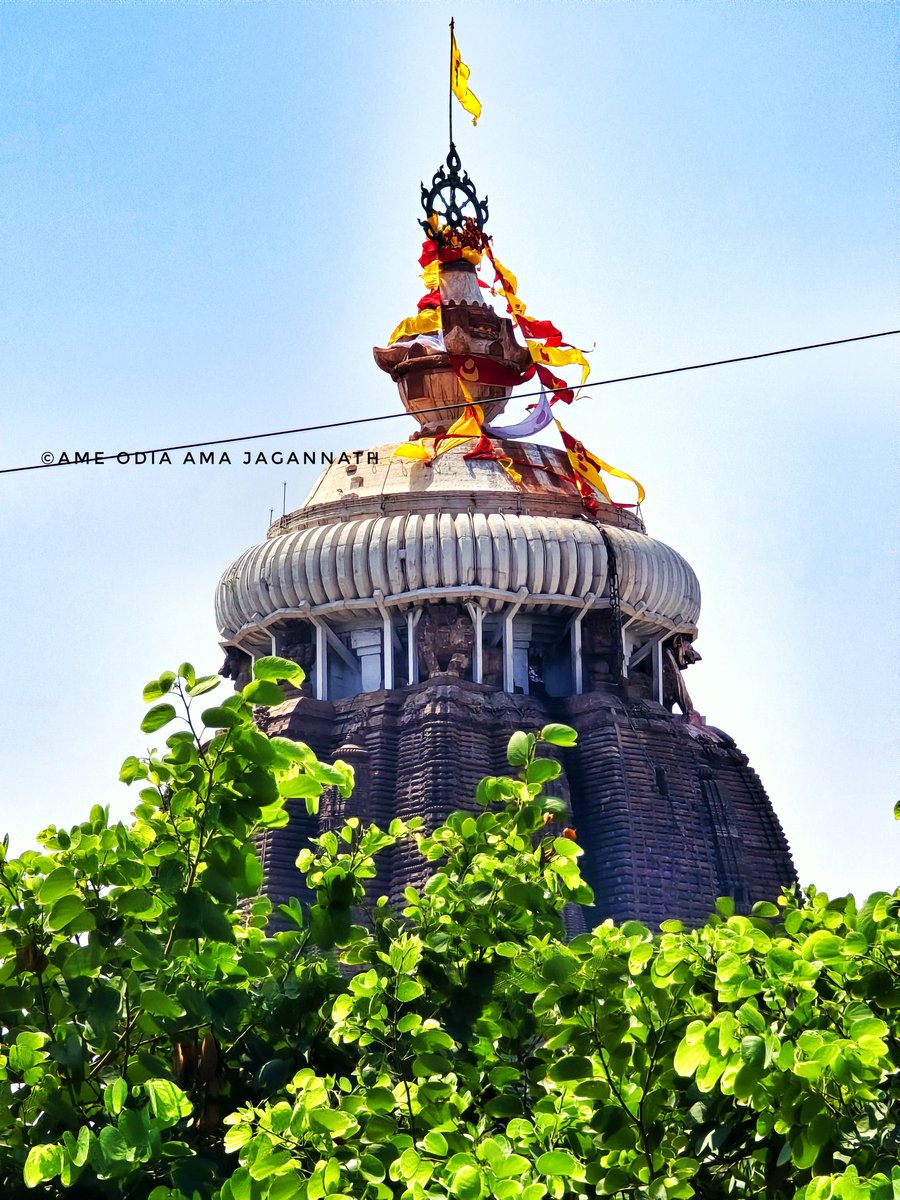 Ama_Jagannath's tweet photo. #JayJagannath 🙌🌹🙏 https://t.co/RL8ABdfJ3p