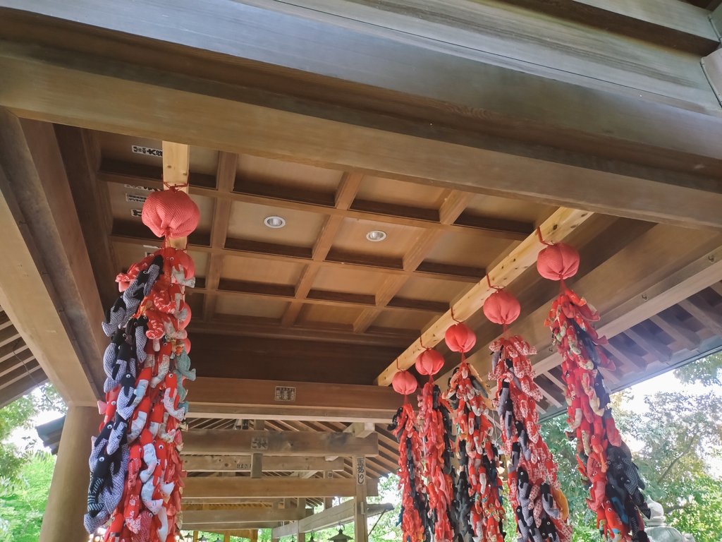 u_satoka's tweet photo. ゴールデンウィークその２
#ぱぺじめといっしょ https://t.co/p2AF4ONhXA