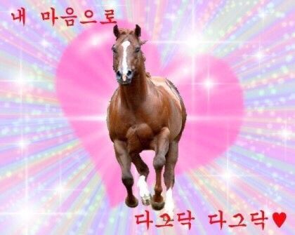 쀼잉 tweet media