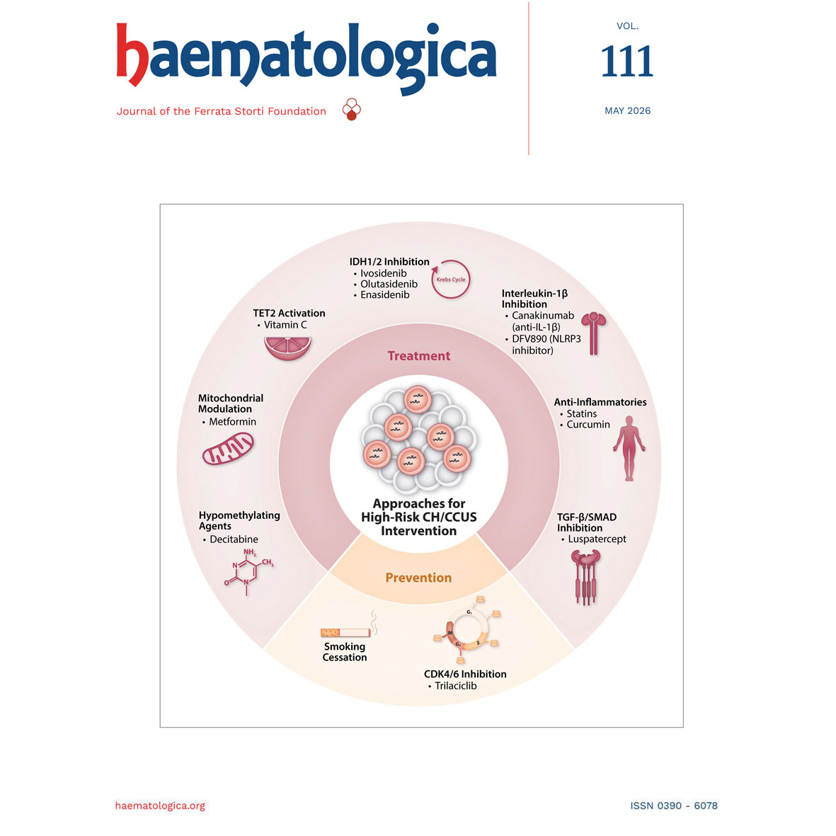 Haematologica's tweet photo. Review series on clonal hematopoiesis. From biology to clinical management—this introduction frames the key questions shaping research and practice in clonal hematopoiesis.
https://t.co/kjCLgeAYzL https://t.co/puxIx6VGGs