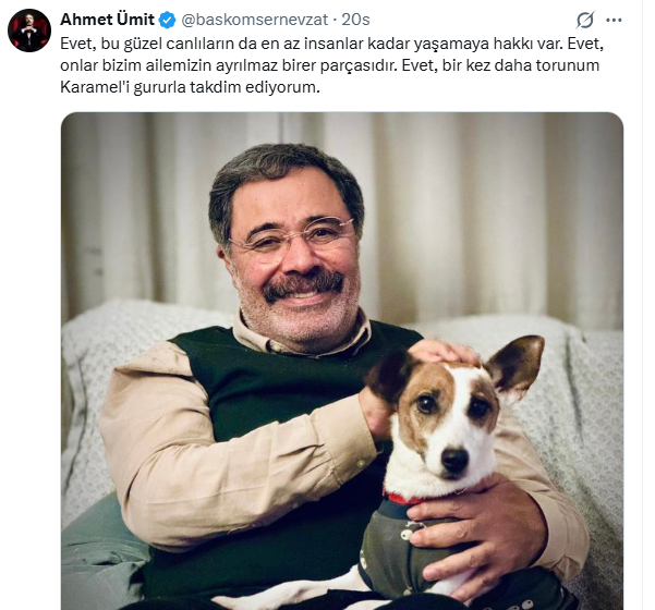 Mustafa Özyürek 🇹🇷 tweet media