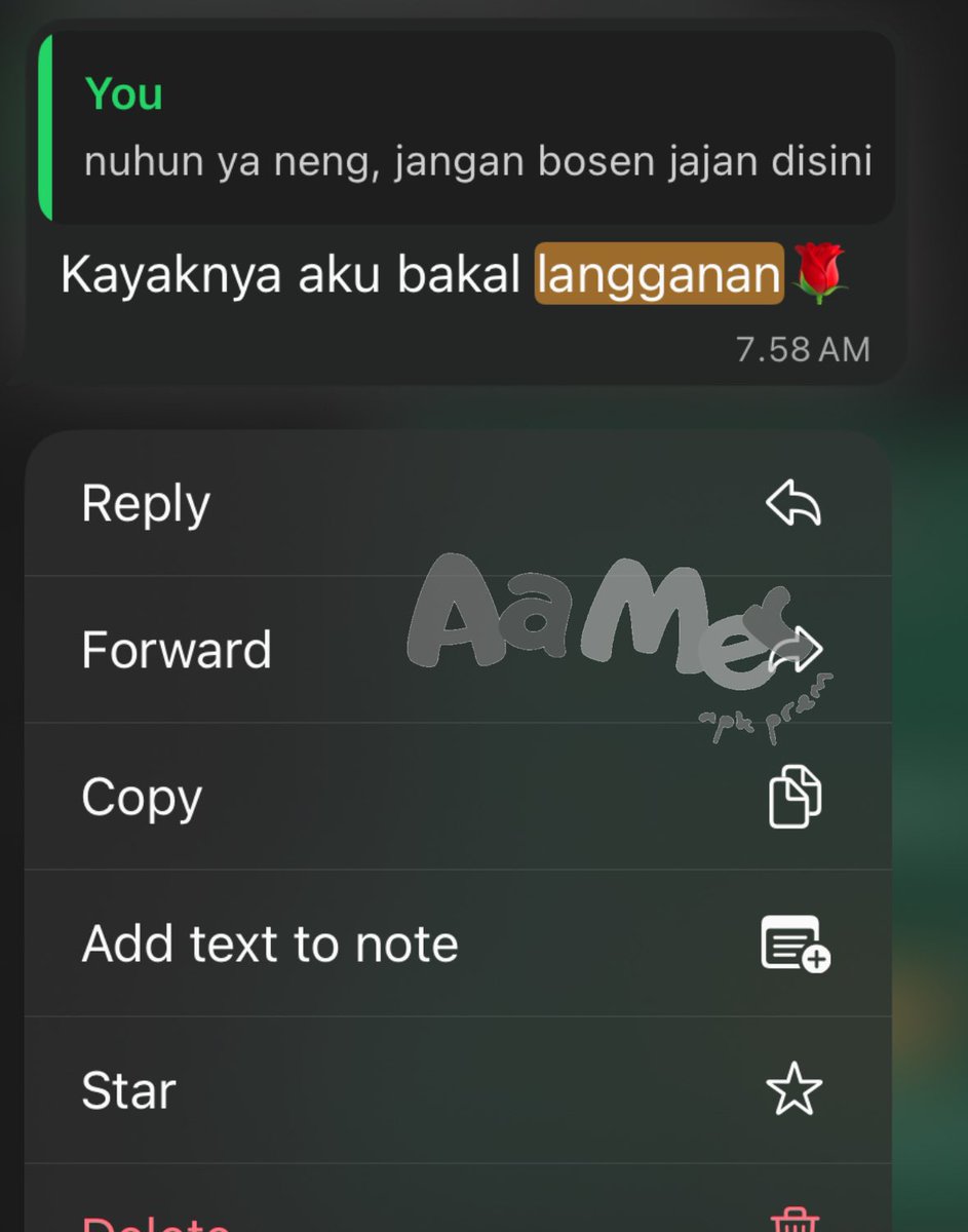 aa mer tweet media