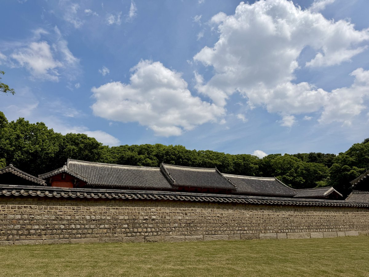 강빌리 tweet media
