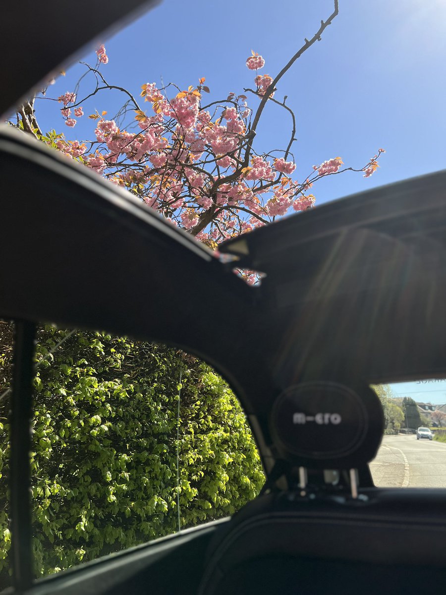 Carsofglasgow tweet media