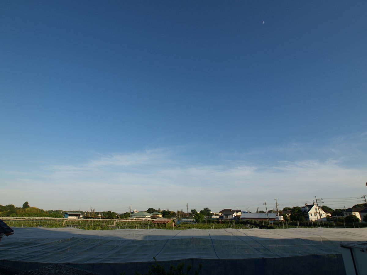 ki4188nashizou's tweet photo. 今日もお疲れさまです🤗
現在我が家の気温計は19.6℃を示しています
今年のゴールデンウェークもあと一日ですね
皆さま、この後も良い時間をお過ごしください😊
#イマソラ
#OLYMPUS #E330 #LiveMOSセンサー https://t.co/9fViug4nfo