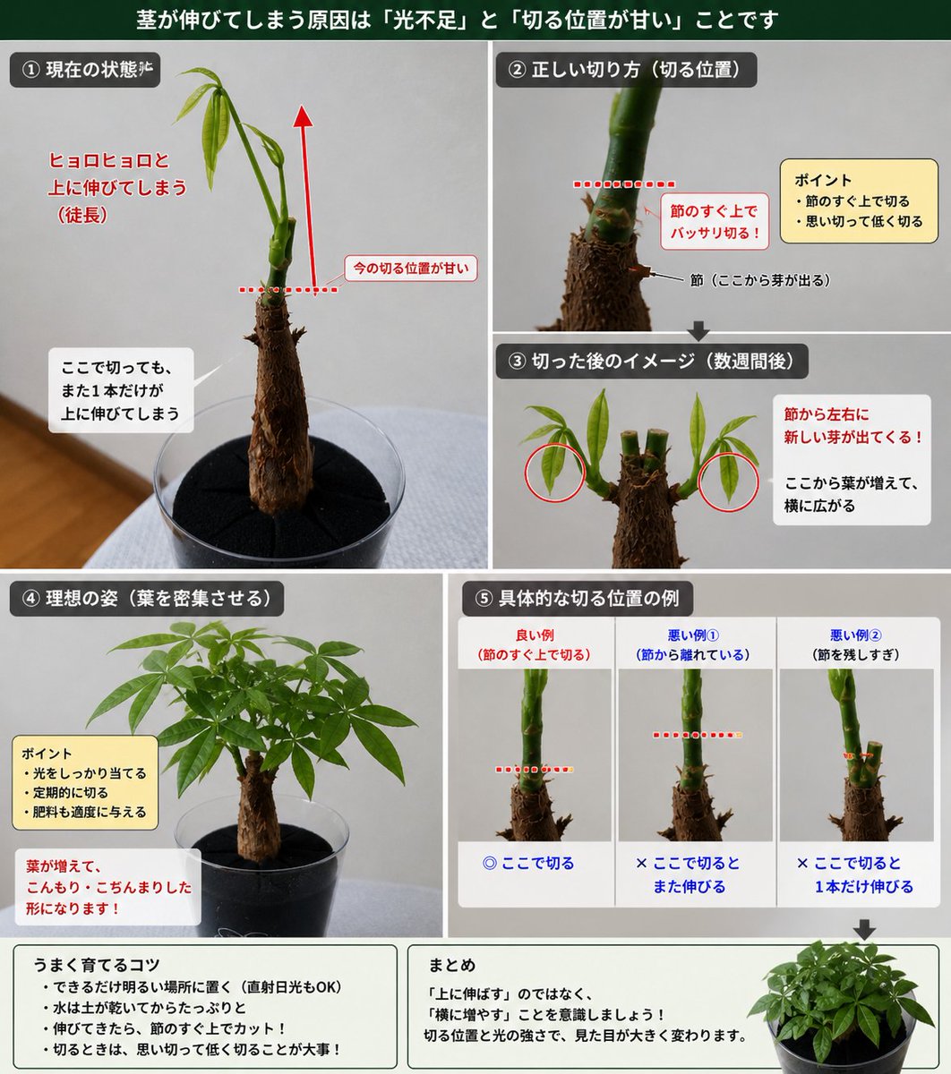 groundcover_jp's tweet photo. チャッピーに質問したら、画像入りで指摘してくれました。時期を見て再チャレンジです！ https://t.co/33GBD0DNto