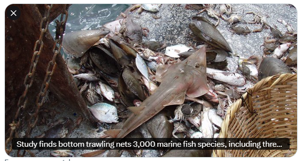 Seas At Risk tweet media
