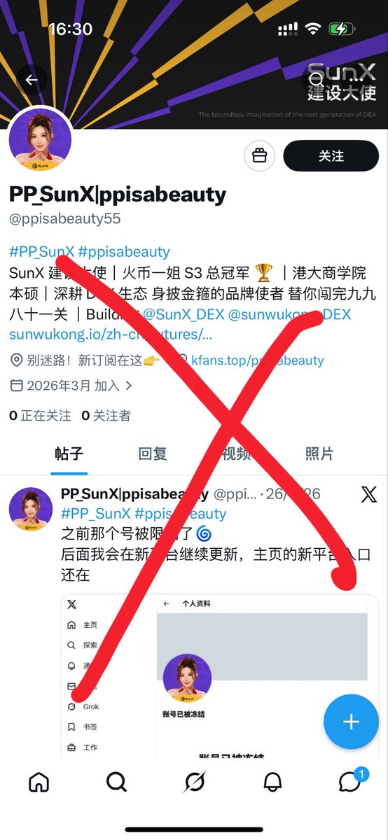 PP_SunX tweet media