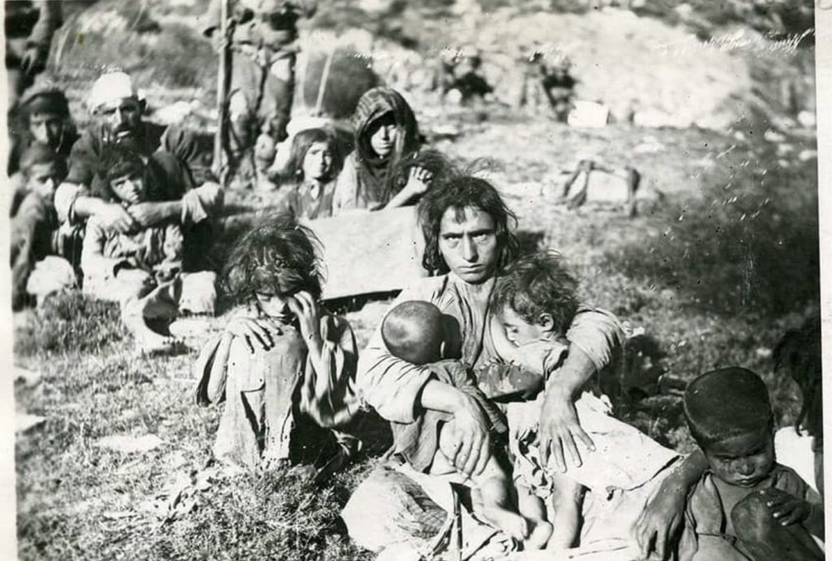 Dersim Gül tweet media