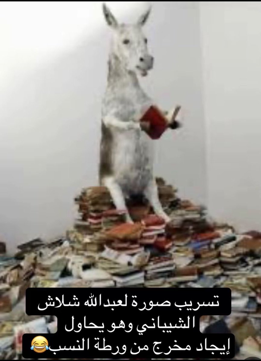 الـمـنـصـف الـوائـلـي tweet media
